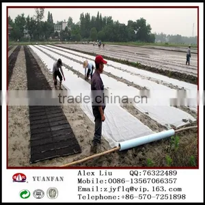 China Agricultural PP Non-woven Fabric thumbnail-1