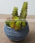 SJ10181201 Wholesale All Types Of Artificial Cactus Plants thumbnail-2