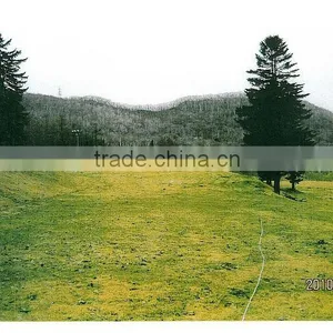 HOKKAIDO Sapporo Ski and Golf Land thumbnail-1