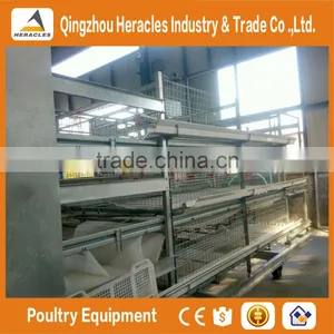 Shandong Trade Assurance Poultry Farming Equipment Automatic Chicken Layer Cage for Sale in Philippines thumbnail-3