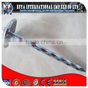 GALV.PLAIN SHANK ROOFING NAILS thumbnail-1