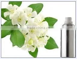 Chameli Oil thumbnail-2