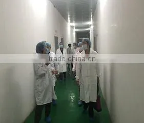 Zhengzhou Holly Charm Fine Foods Co., Ltd. company overview - view 1 thumbnail