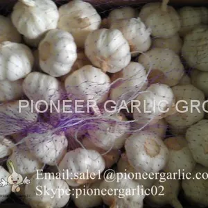 New Crop Fresh Chinese Pure White Garlic (5.0cm, 5.5cm, 6.0cm)Box Packing thumbnail-4