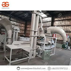 150-200kg/h Shelling Pine Nuts Processing Pine Nut Sheller Machine Price thumbnail-2