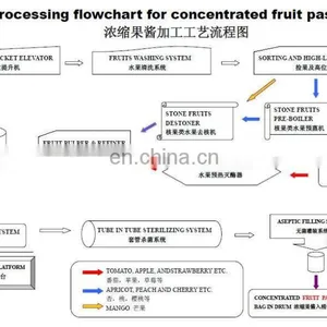 Factory Price Industrial Fruit Clean Washer Vegetable Washing Machine Processing Line thumbnail-5