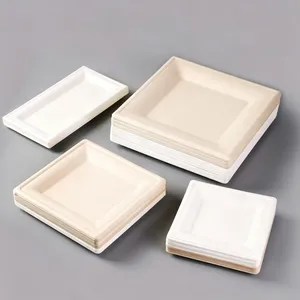 Disposable Fruit Platter 100% Sugarcane Pulp, 500g Capacity, Freezer Safe, Microwave Safe, Hot/Cold Use thumbnail-3