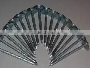 Smooth Shank Roofing Nails thumbnail-1