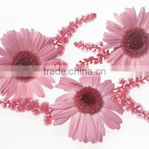 Beautiful Pink Flower Wall Stickers 2013 thumbnail-1