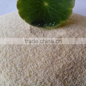 High Quality Dehydrated Garlic Granules 40-80 Mesh thumbnail-1