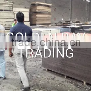 Marine Plywood/shuttering Plywood/Film Faced Plywood DANUBE CNBM CPLEX thumbnail-4