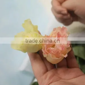 Fresh Top Sell Wholesale Fresh Lisianthus Flower thumbnail-4