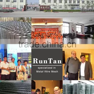 Hot Dipped Galvanized and Pvc Coated V Mesh Fence (ISO9001,Factory) thumbnail-5
