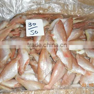 FROZEN SEA BREAM thumbnail-4