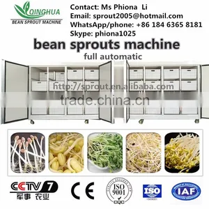 Automatic Bean Sprout Machine Bean Sprout Growing Machine thumbnail-1
