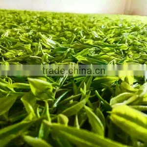 Superior Range of Organic Green Tea Available From Certified Henan Company thumbnail-2