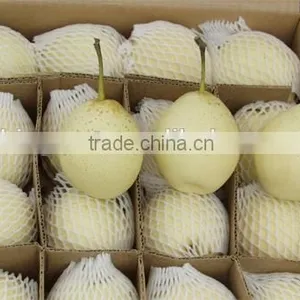 Supply Fresh Ya Pear With Good Quality for Sale thumbnail-6