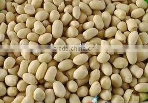 Chinese Blanched Peanut Kernels in Round Shape for Sale thumbnail-4