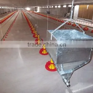 Poultry Farm Ground Raising Chicken Broiler Equipment thumbnail-2