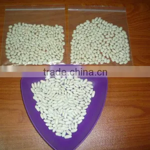 White Kidney Beans thumbnail-1