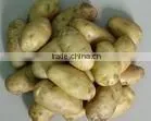 Potato thumbnail-1
