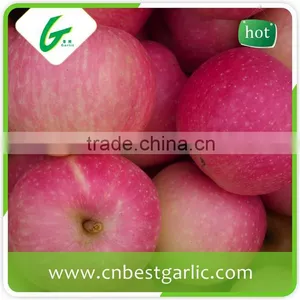 Red Royal Sweet Gala Apple Farm Supply thumbnail-6