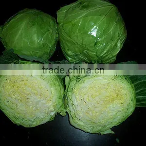 10 kg New Crop Fresh Green Cabbage thumbnail-1