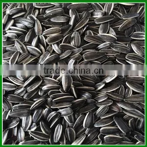 High Quality 5009 Raw Sunflower Seeds Count 250 Pieces Per 50 Gram for Sale thumbnail-1