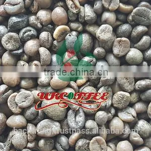 Robusta Green Coffee Bean thumbnail-1
