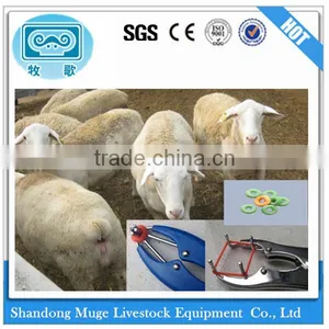Farm Equipment The Lamb Tail Cutting Pliers thumbnail-1