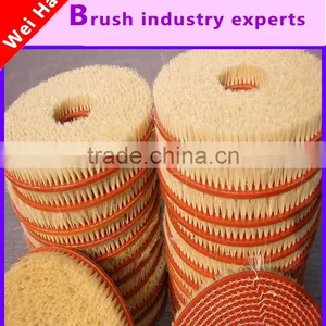 Factory Processing of High Quality Nylon Brush Wheel, Disc Brush Wheel, High Quality Grinding Wheels Eraser thumbnail-1
