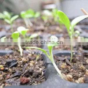 Cheaper Top Quality Best Price Plant Seed Starter Trays thumbnail-4