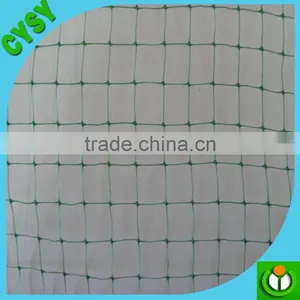 New Anti-bird Netting, Anti Bird Net for Catching Birds, pe Anti Bird Protection Netting thumbnail-4