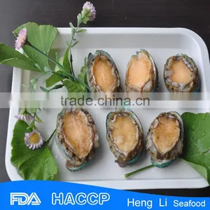 Iqf Frozen Abalone Factory thumbnail-6
