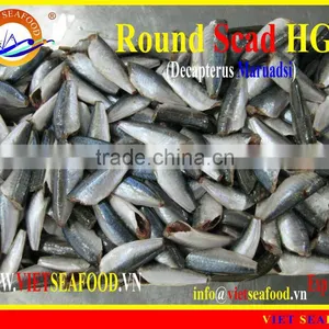 HGT FROZEN ROUND SCAD thumbnail-1