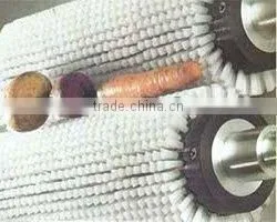 Fruits and Vegetable Cleaning Brush Roller thumbnail-1