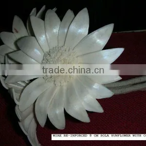 Sola Sun Flower thumbnail-1