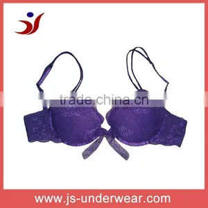 Fashion Ladies Elegant Bra Sexy Lace Bra Push up Bra thumbnail-1