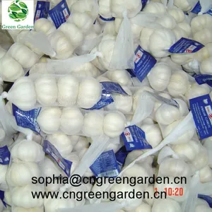 Chinese Fresh Garlic Normal White Garlic Pure White Garlic Dry Garlic thumbnail-4