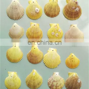 DIY Natural Seashell Color Style Charm Shell Accessories for Jewelry Finding thumbnail-6