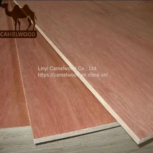 18mm Good Quality and Cheap Price Commercial Plywood thumbnail-4