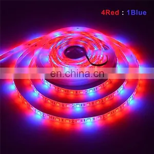 DC12V 5050 Full Spectrum Led Grow Strip Light Red:blue 3:1,4:1,5:1 Led Plant Growth thumbnail-5