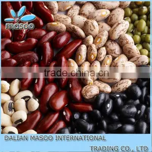 Dark Red Light White Speckled Kidney Bean thumbnail-1