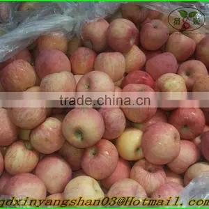 NEW : Fruit Fresh Fuji Apple/Fresh Apples thumbnail-3