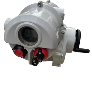 IT Angular Stroke Electric Actuator thumbnail-2