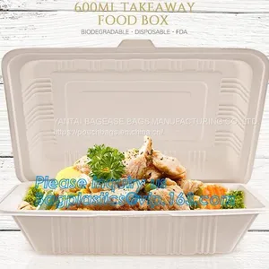 Compartment Hinged Container Sugarcane Bassage Pulp Food Serving Box 750ml Bassage Take Out Container Bagplastics Packa thumbnail-2