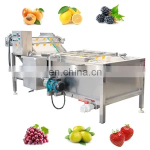 Automatic Fruit And Vegetable Electric Air Bubble Cleaning Washing Machine Washer thumbnail-1