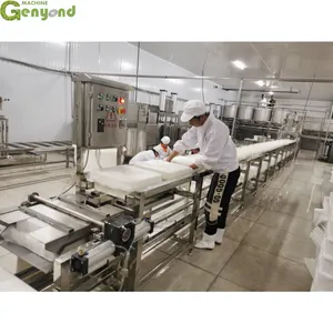 China Tofu Machine High Quality Blood Tofu Making Machine/Blood Tofu Production Line thumbnail-4