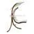 KD Design Solid Wooden Swing For Garden thumbnail-1