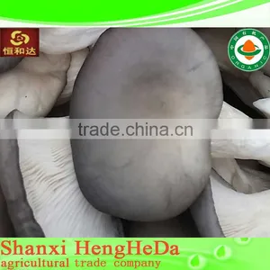 for Selling Clear to Mind Dried Shiitake Mushroom thumbnail-1